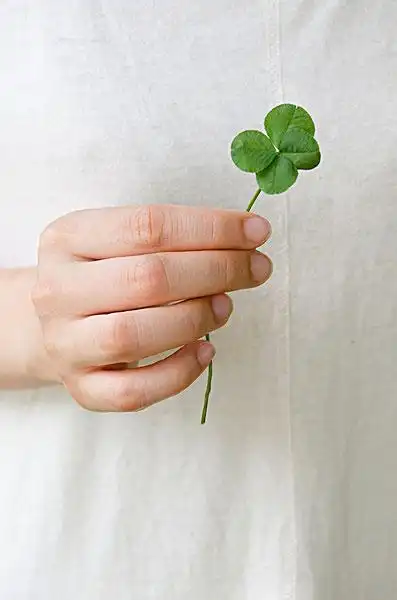 女人,拿着,四叶苜蓿