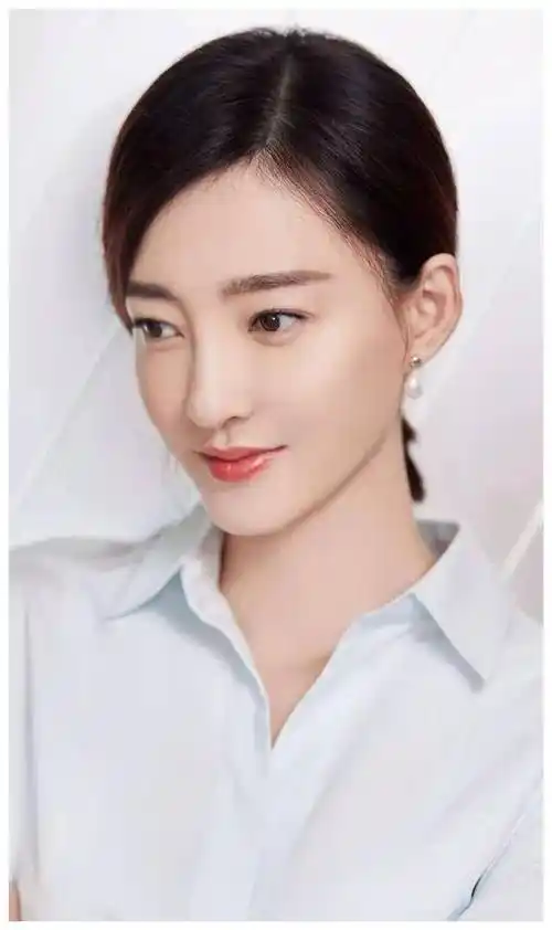 王丽坤1985年出生内蒙古赤峰女演员总感觉她名字偏男性化