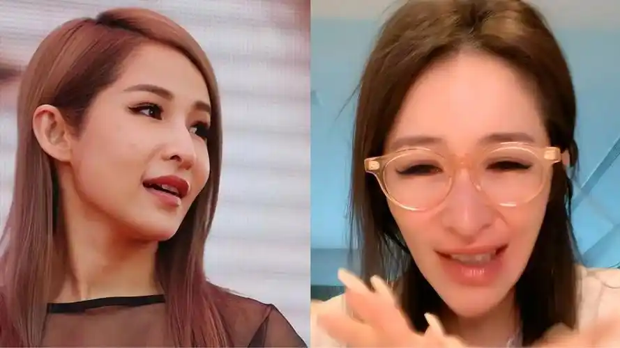 回顾以为她们是退圈原来是整容了没认出来真是可惜了