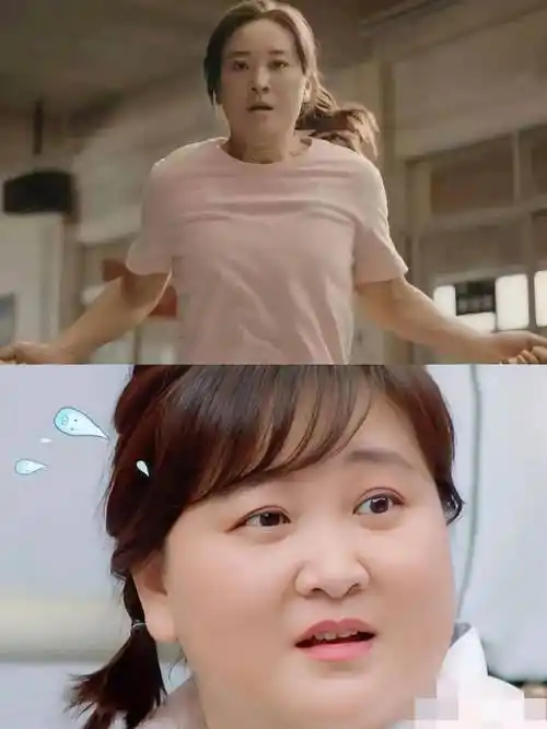 原创沈腾发起创办喜剧节连老赵都来了贾玲却没捧场背后原因引热议