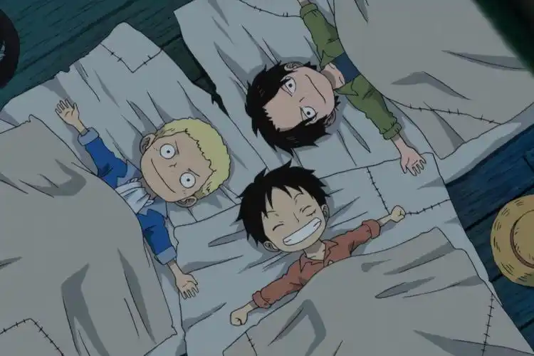 海贼王 火拳三兄弟 艾斯 萨博 路飞_手机搜狐网