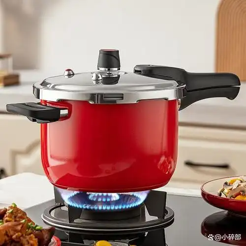 在现代社会,高压锅已然成为了厨房中不可或缺的必备品.