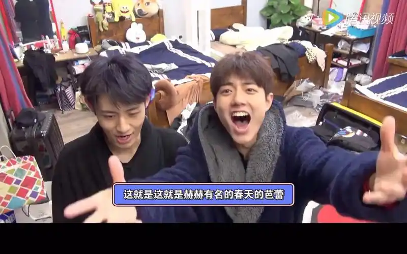 考古肖战reaction发癫实录之彭楚粤下蛋了