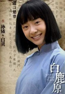 白鹿原_白鹿原全集_在线观看_演员表_剧情介绍-乐视视频-手机乐视