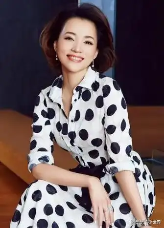 著名的中央节目主持人,董卿简介