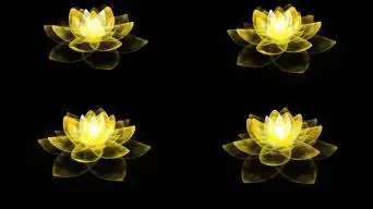 莲花 金色视频素材下载, 莲花 金色ae模板下载_光厂(vj师网)