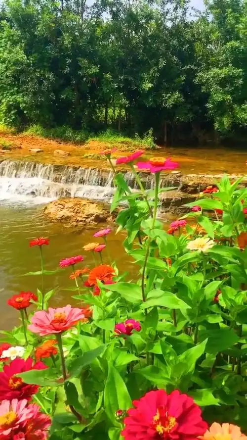 最能治愈人心的便是这世间的山水花草.