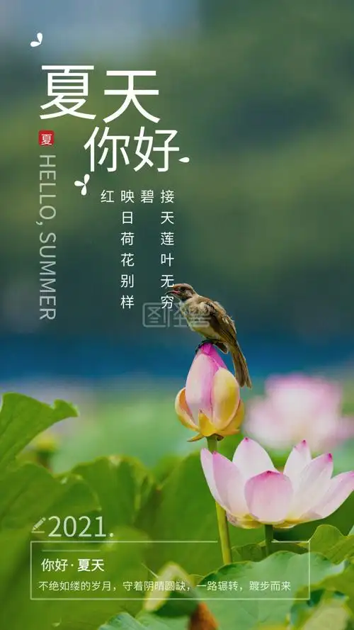 夏天你好小清新海报