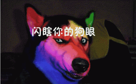 大灯也会说话 别人用灯闪你,原来是这个意思!