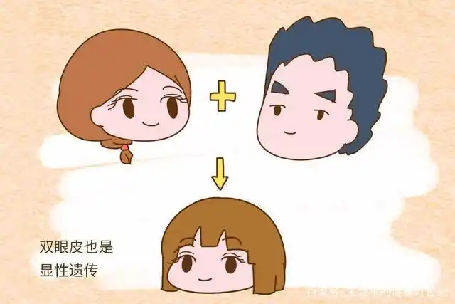 还在纠结单眼皮还是双眼皮?今天带你好好了解一下眼睛的"窗帘"