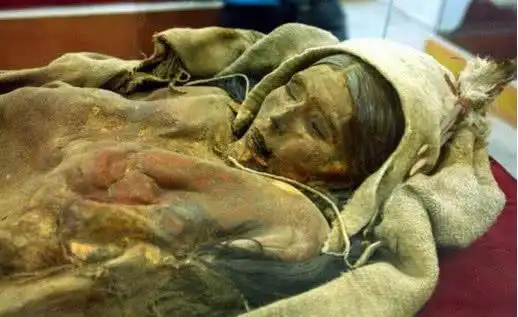 专家打开棺盖突然伸出一只腿,吓得专家往后退,眼前情景从没见过!