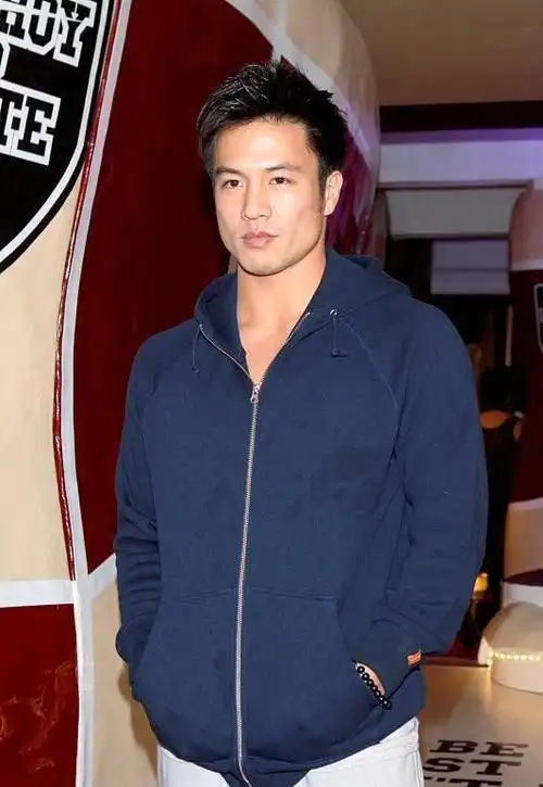 逆境中的传奇安志杰从毁容到动作之王