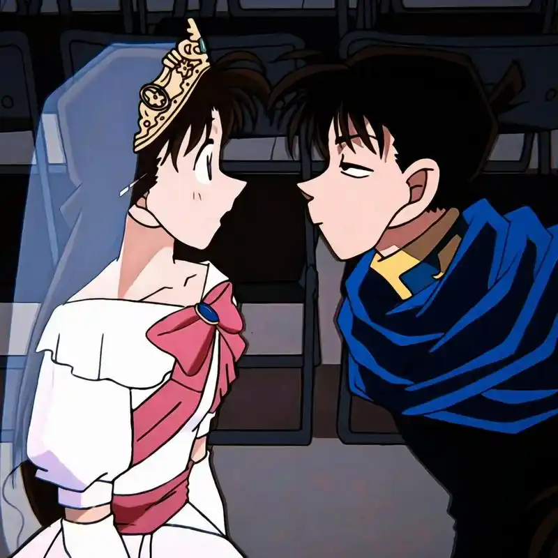 新兰cp头像来啦  93 踏入名侦探柯南的世界,就如同进入了一个充满