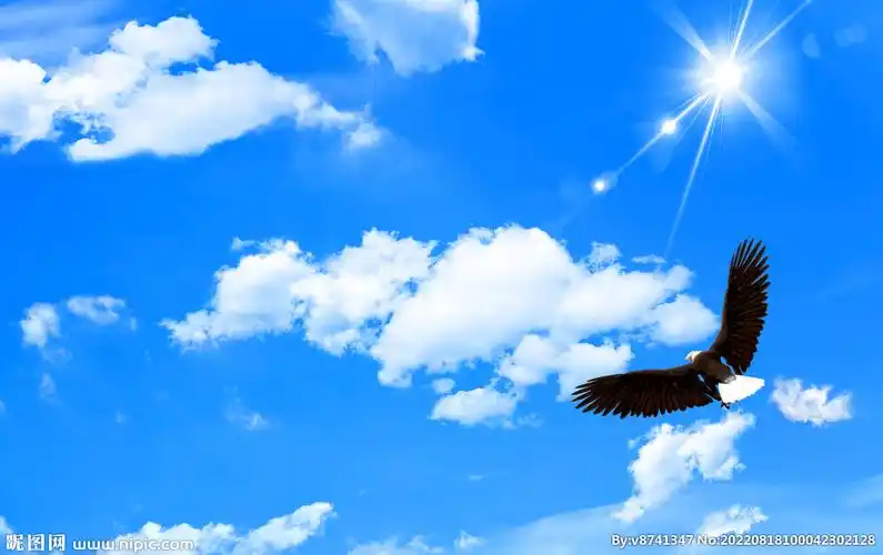蓝天白云雄鹰