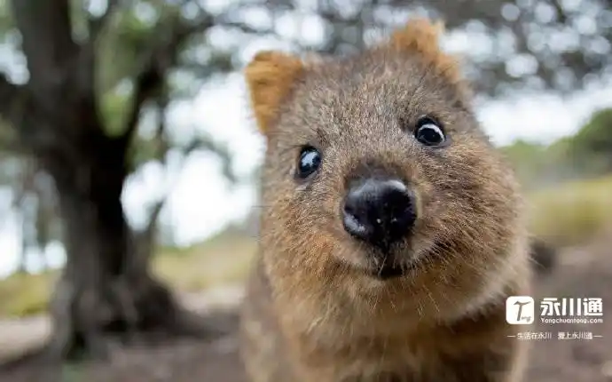 世界微笑日:送上超治愈的微笑,愿你一天都是好心情!