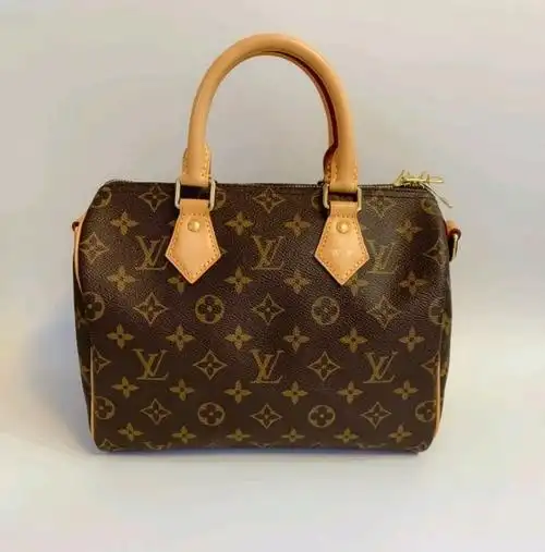 lv speedy 25 老花就是经典 奢侈品包包品牌