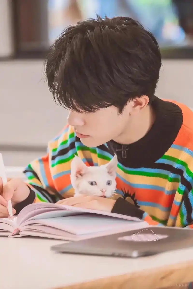 分享一组千玺和猫猫壁纸太有爱了