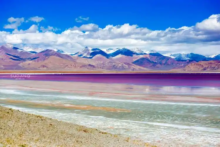 羌塘无人区的罕见风光:扎布耶茶卡,西藏唯一的粉红色湖泊_盐湖