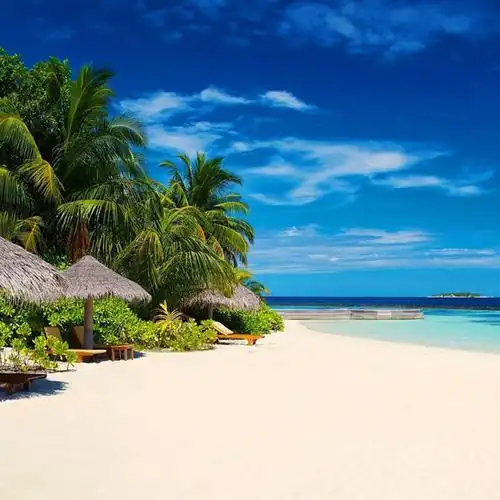 蓝天大海椰林金色沙滩头像