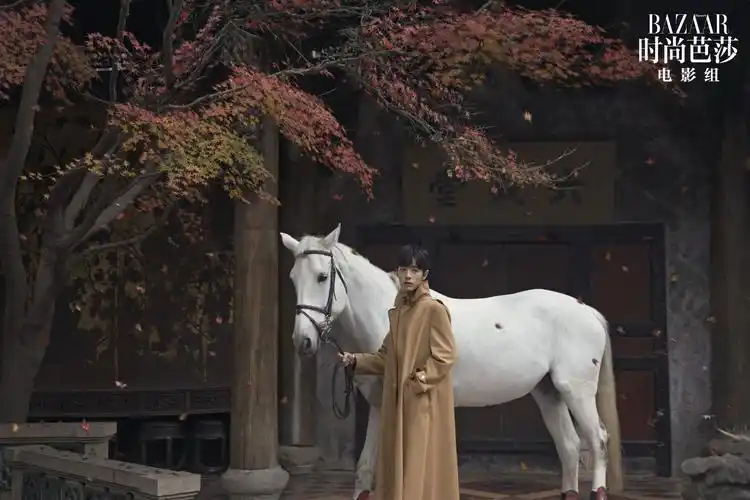 肖战‖200114‖时尚芭莎 - 堆糖,美图壁纸兴趣社区