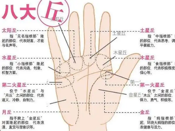 的手纹观测方法我看手纹的起始点在手掌的虎口旁1生命线由虎口的生