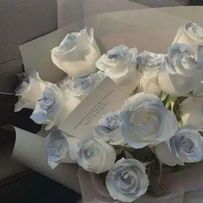 治愈系头像图片唯美超好看的意境风景头像大全