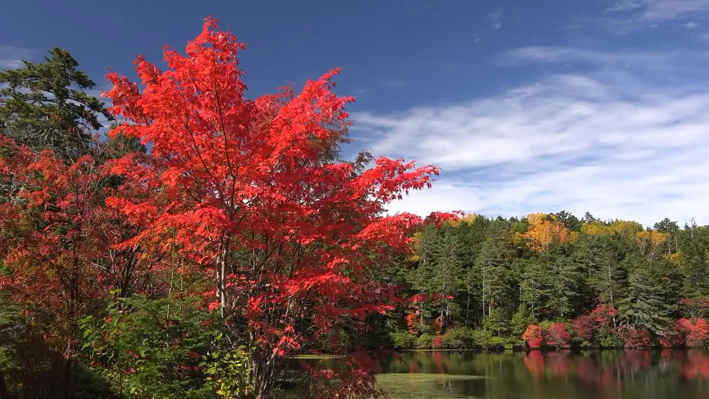 美丽的自然风景 第十三期