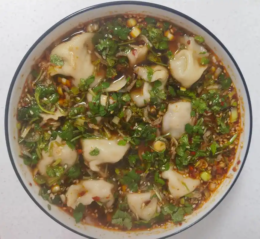 92大葱猪肉馅酸汤水饺.96#以喜欢的方式去生活 - 抖音