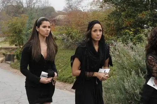 蛇蝎女佣第一季