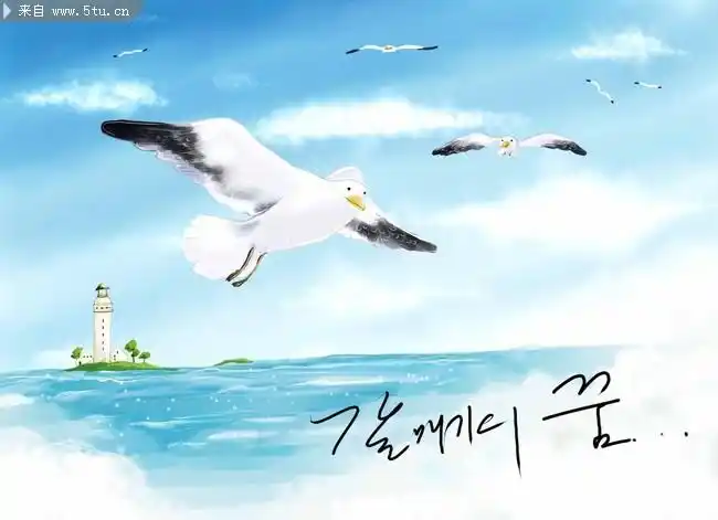 大海风景插画 海鸥图片