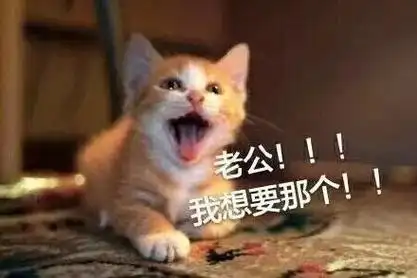 老公我想要那个喊老公表情包喵喵老公喵星人撩妹撩汉表情