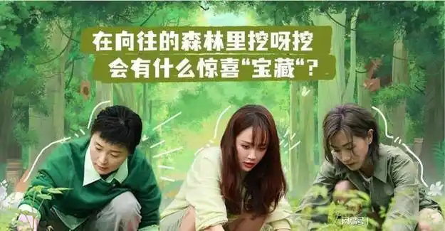 放慢节奏就是向往的生活最后一集剧透引人遐想