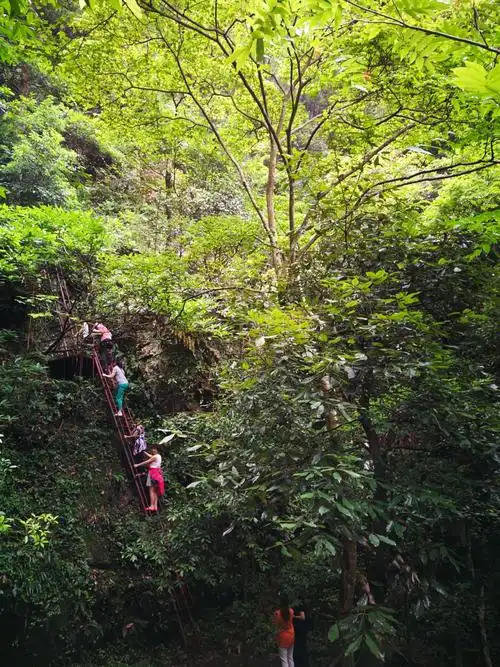 武陵奇峡风景区