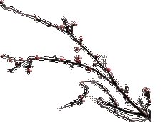 透明gif动画花草素材 【3】