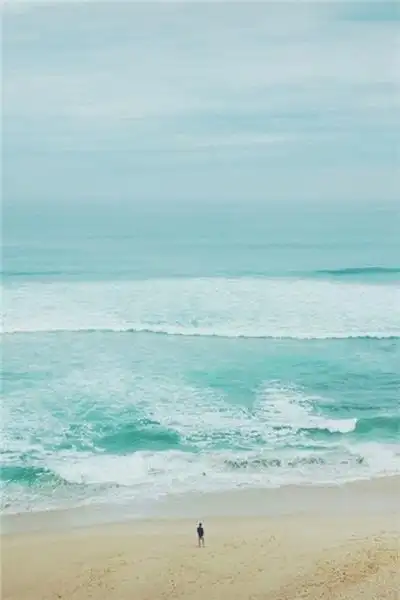 唯美漂亮的紫色花朵背景图片大全