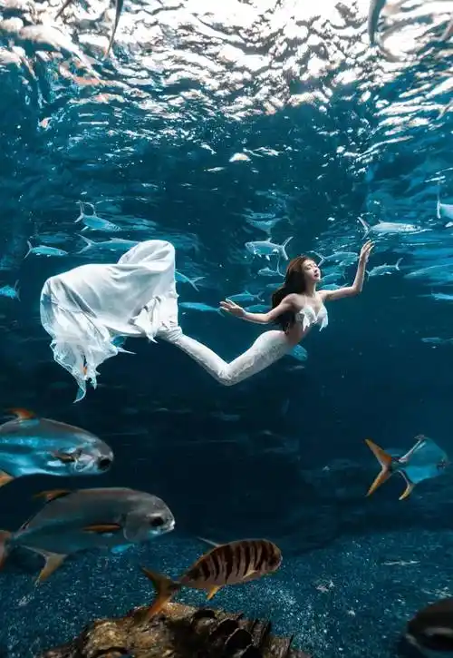 身材_时尚_宋佳