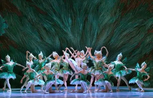 澳大利亚国家芭蕾舞团《睡美人》