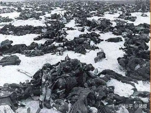 真实的战场是一地尸体,还是一地重伤半截人呻吟蠕动?