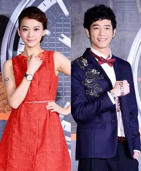 陈意涵刘以豪出席2013美度新表发布会