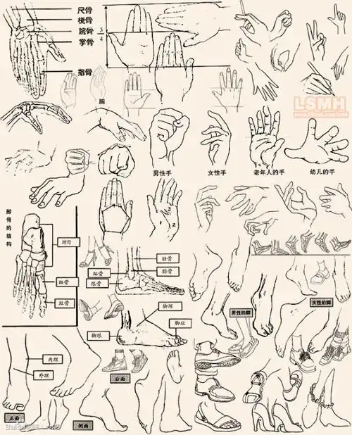 漫画手绘插画教程手