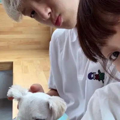 易烊千玺情头头像