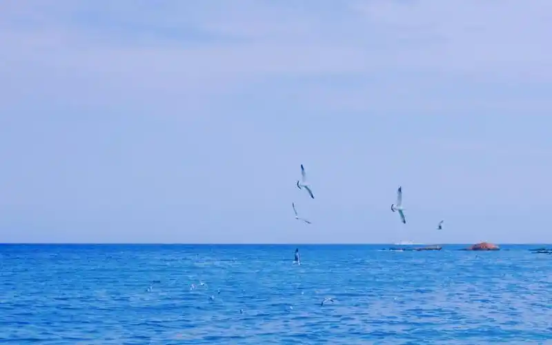 夏日蓝色的海洋风光,高清壁纸,风景图片-回车桌面