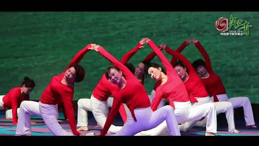 舞韵瑜伽《月夜》