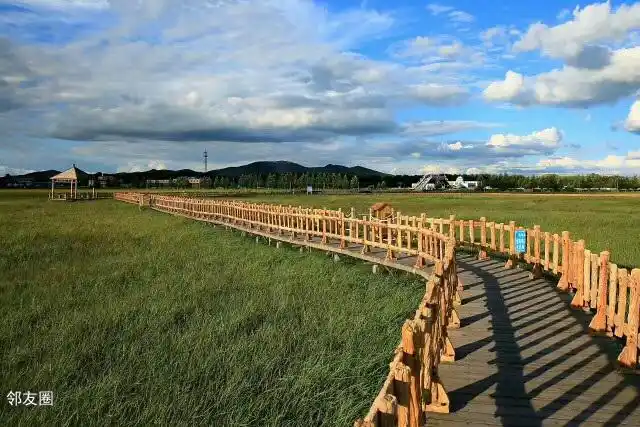 【消夏之旅】 张家口沽源五花草甸