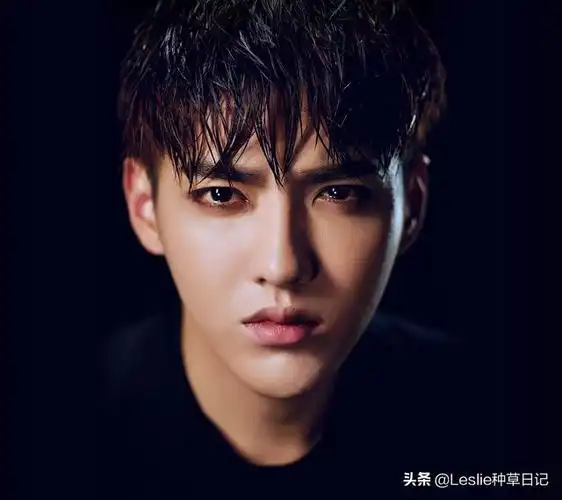 天蝎座:吴亦凡敏锐,意志坚强 冷漠,城府深 比较腹黑狮子座:王凯自尊心