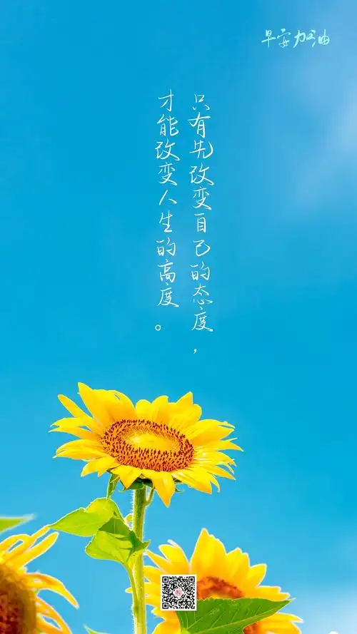 永远不要放弃提升自己,也不要放弃改变自己,因为只有你坚持不懈地做一