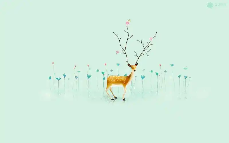 圣诞主题桌面壁纸之西方节日高清大图预览1680x1050_节日壁纸下载_美