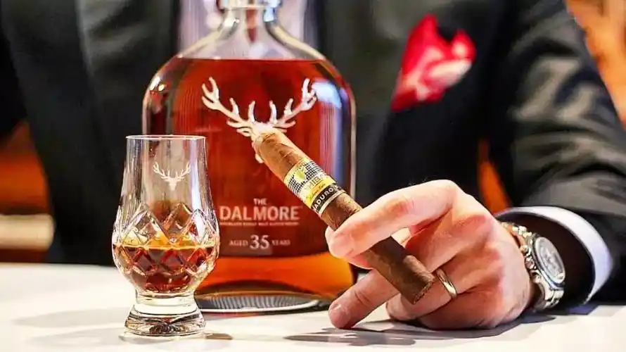 皇上| 雪茄三千佳丽有哪些?_mojito