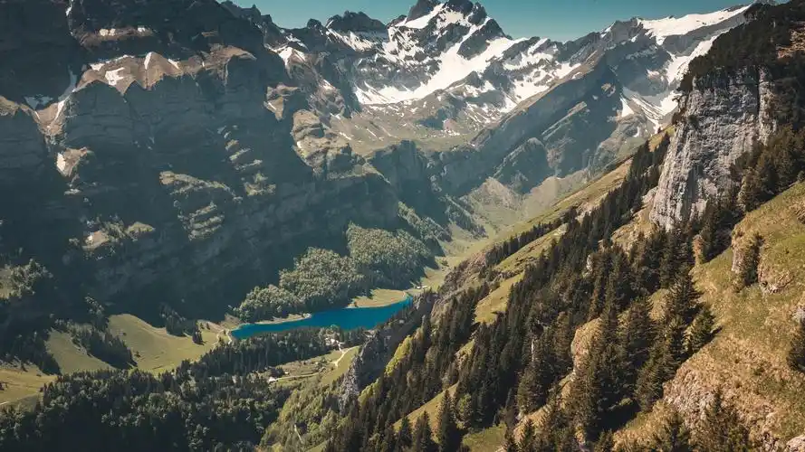 风景山川森林4k专区4896x3264壁纸