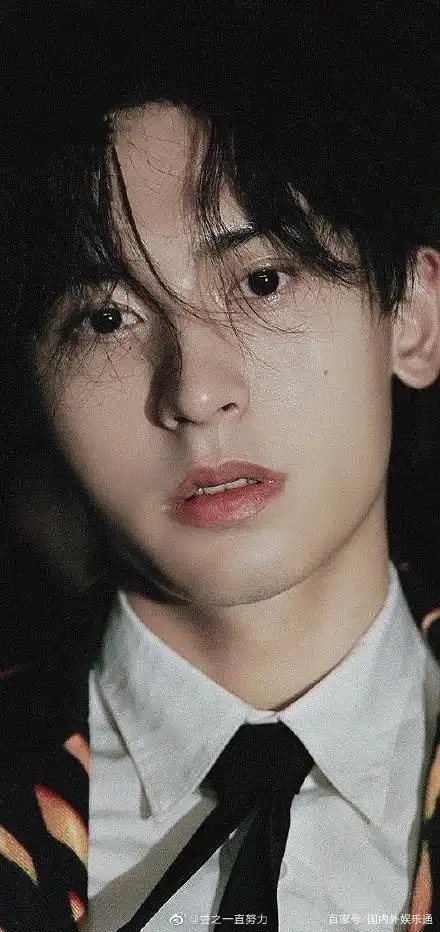 张哲瀚大粉有多强你知道吗?实力宠,还是个有内涵的人